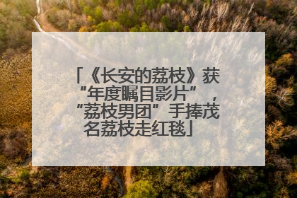 《长安的荔枝》获“年度瞩目影片”，“荔枝男团”手捧茂名荔枝走红毯