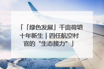 「绿色发展」千亩荷塘 十年新生｜四任航空村官的“生态接力”