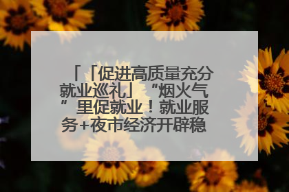 「促进高质量充分就业巡礼」“烟火气”里促就业！就业服务+夜市经济开辟稳就业新场景