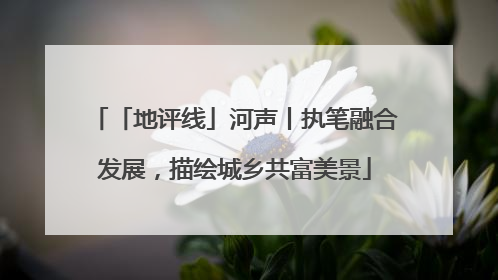 「地评线」河声丨执笔融合发展，描绘城乡共富美景