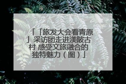 「旅发大会看青原」采访团走进渼陂古村 感受文旅融合的独特魅力（图）