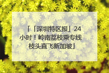 「深圳特区报」24小时！岭南荔枝乘专线 枝头直飞新加坡