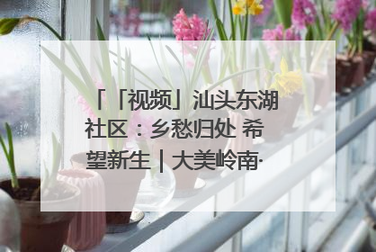 「视频」汕头东湖社区：乡愁归处 希望新生｜大美岭南·百村焕新记