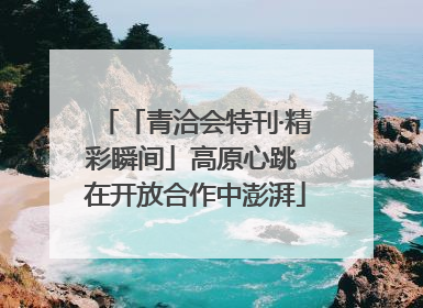 「青洽会特刊·精彩瞬间」高原心跳 在开放合作中澎湃