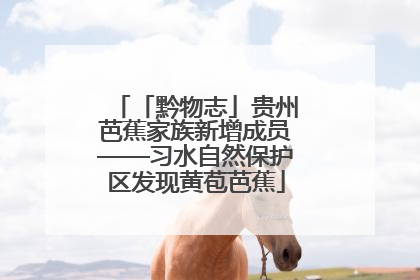 「黔物志」贵州芭蕉家族新增成员——习水自然保护区发现黄苞芭蕉