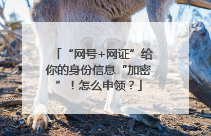 “网号+网证”给你的身份信息“加密”！怎么申领？