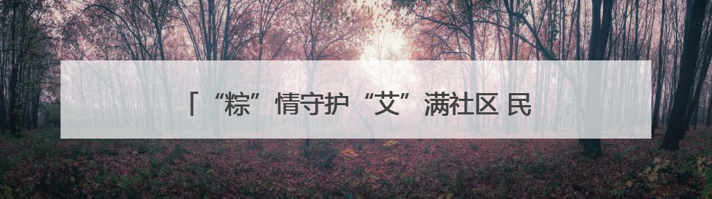 “粽”情守护“艾”满社区 民警携手“黄鹤卫士”反诈宣传