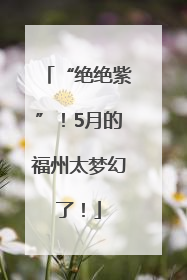 “绝绝紫”！5月的福州太梦幻了！