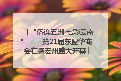 “侨连五洲·七彩云南”——第21届东盟华商会在德宏州盛大开幕