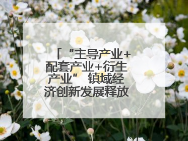 “主导产业+配套产业+衍生产业” 镇域经济创新发展释放强劲发展动能