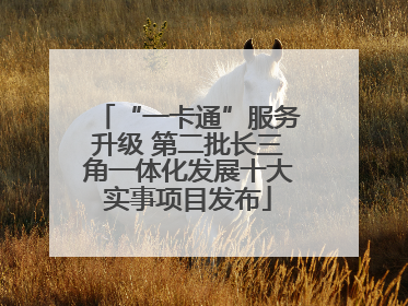 “一卡通”服务升级 第二批长三角一体化发展十大实事项目发布