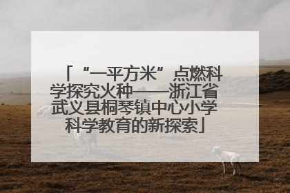 “一平方米”点燃科学探究火种——浙江省武义县桐琴镇中心小学科学教育的新探索