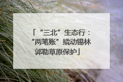 “三北”生态行：“两笔账”撬动锡林郭勒草原保护