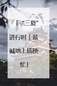 “三夏”进行时｜盐碱地上插秧忙