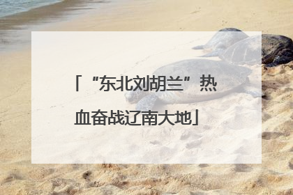 “东北刘胡兰”热血奋战辽南大地