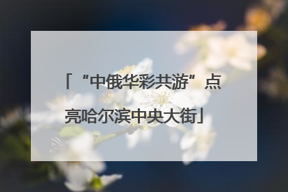 “中俄华彩共游”点亮哈尔滨中央大街