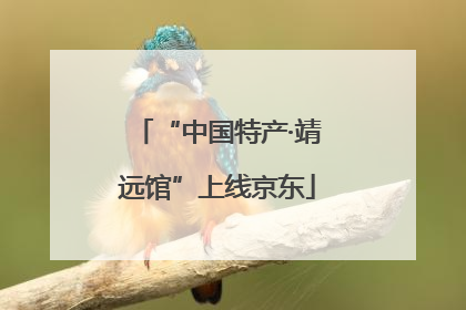 “中国特产·靖远馆”上线京东