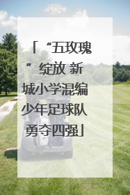 “五玫瑰”绽放 新城小学混编少年足球队勇夺四强