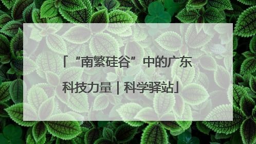 “南繁硅谷”中的广东科技力量｜科学驿站