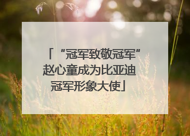 “冠军致敬冠军” 赵心童成为比亚迪冠军形象大使