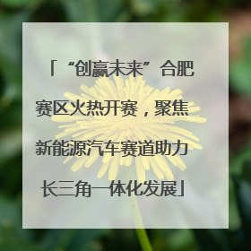 “创赢未来”合肥赛区火热开赛，聚焦新能源汽车赛道助力长三角一体化发展