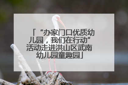 “办家门口优质幼儿园，我们在行动”活动走进洪山区武南幼儿园童趣园