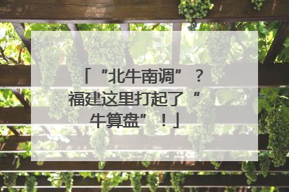 “北牛南调”？福建这里打起了“牛算盘”！