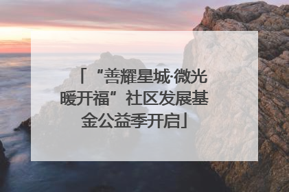 “善耀星城·微光暖开福”社区发展基金公益季开启