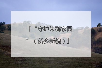 “守护朱鹮家园”（侨乡新貌）