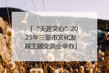 “天涯文心”2025年三亚市文化发展主题交流会举办