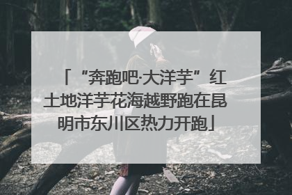 “奔跑吧·大洋芋”红土地洋芋花海越野跑在昆明市东川区热力开跑