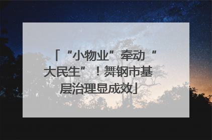 “小物业”牵动“大民生”！舞钢市基层治理显成效