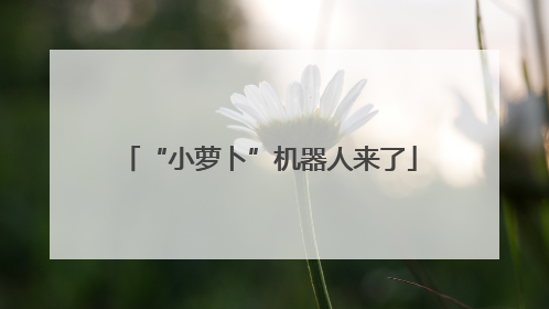 “小萝卜”机器人来了