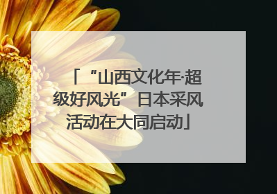 “山西文化年·超级好风光”日本采风活动在大同启动