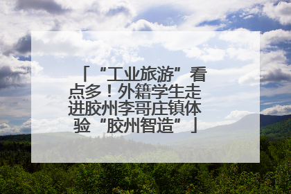 “工业旅游”看点多！外籍学生走进胶州李哥庄镇体验“胶州智造”