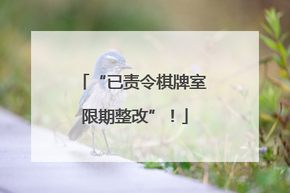 “已责令棋牌室限期整改”！