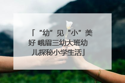 “幼”见“小”美好 峨眉三幼大班幼儿探秘小学生活