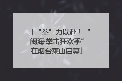 “拳”力以赴！“闹海·拳击狂欢季”在烟台莱山启幕