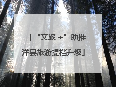 “文旅 +”助推洋县旅游提档升级