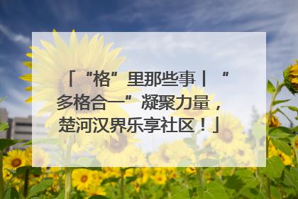 “格”里那些事丨“多格合一”凝聚力量，楚河汉界乐享社区！