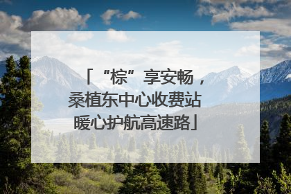 “棕”享安畅，桑植东中心收费站暖心护航高速路
