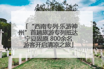 “西南专列·乐游神州”首趟旅游专列抵达宁夏固原 800余名游客开启清凉之旅