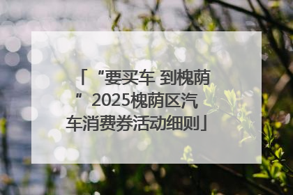 “要买车 到槐荫”2025槐荫区汽车消费券活动细则