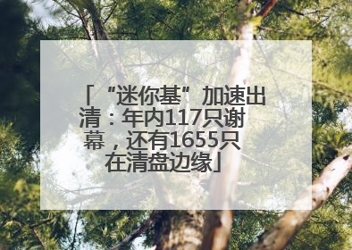 “迷你基”加速出清：年内117只谢幕，还有1655只在清盘边缘