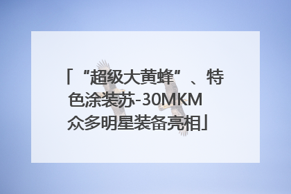 “超级大黄蜂”、特色涂装苏-30MKM 众多明星装备亮相