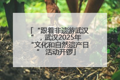 “跟着非遗游武汉”，武汉2025年“文化和自然遗产日” 活动开锣