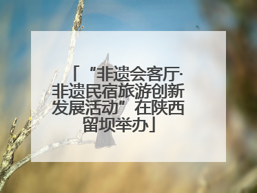 “非遗会客厅·非遗民宿旅游创新发展活动”在陕西留坝举办