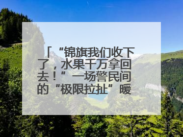 “锦旗我们收下了，水果千万拿回去！”一场警民间的“极限拉扯”暖了整个城
