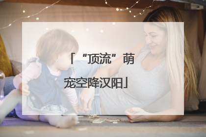 “顶流”萌宠空降汉阳