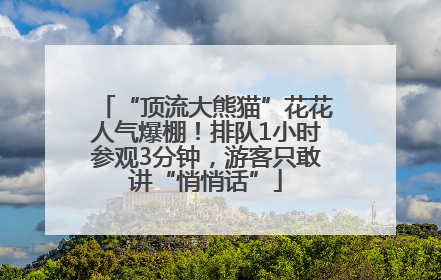 “顶流大熊猫”花花人气爆棚！排队1小时参观3分钟，游客只敢讲“悄悄话”